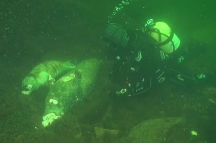 Co było przyczyną śmierci?